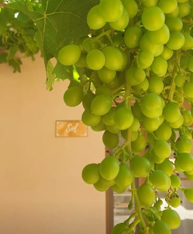 Premium Bed & Breakfast Casa Alegria Andaluza Los Romanes