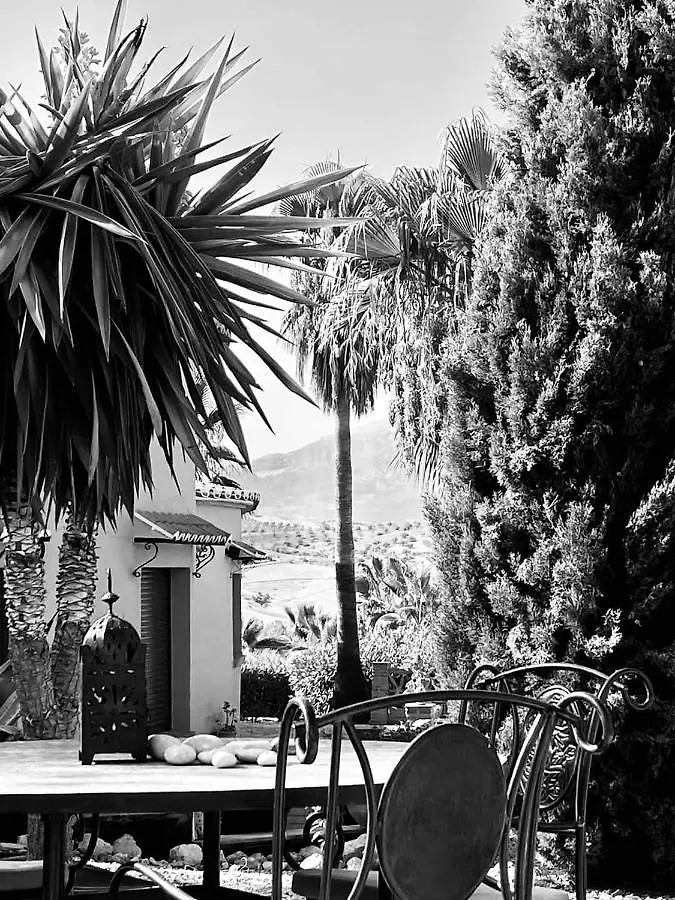 Premium Bed & Breakfast Casa Alegria Andaluza Los Romanes